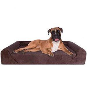 lista de cama para perros xl para comprar los preferidos 1